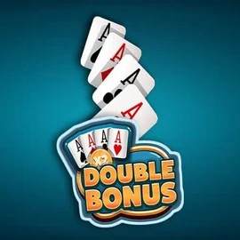 Try Double Double Bonus slot by Red Rake Gaming on lizaro-casino-be.com – logo image