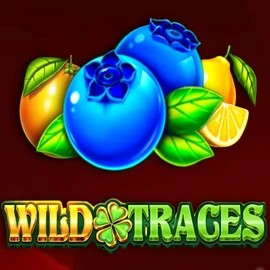 Wild Traces online slot from Amusnet Interactive – play at lizaro-casino-be.com